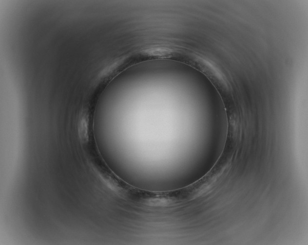 X0000111210404200907081306