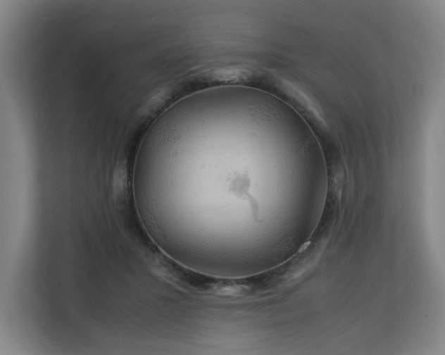 X0000111210407200907081306