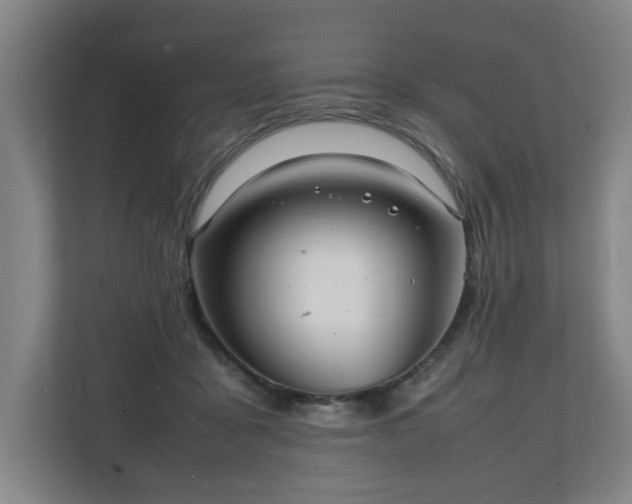 X0000111210411200907081306