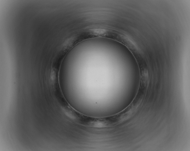 X0000111210412200907081306