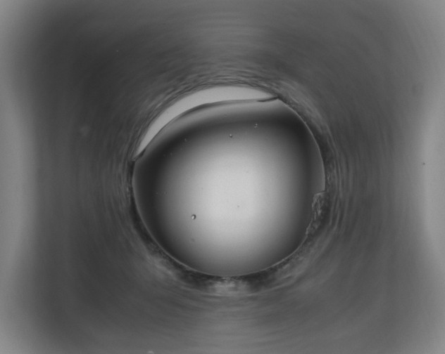 X0000111210415200907081306