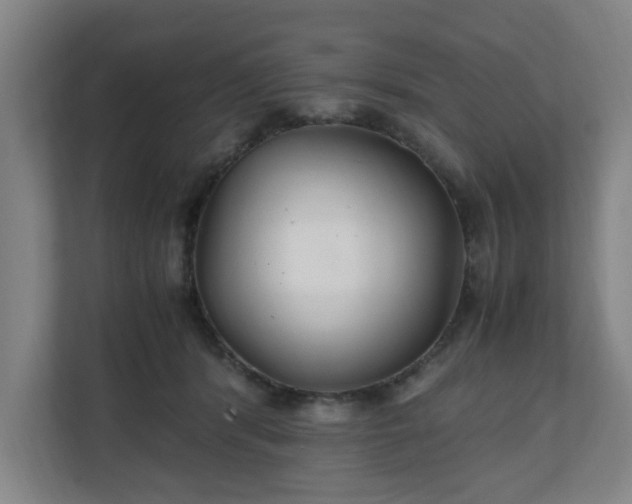 X0000111210416200907081306