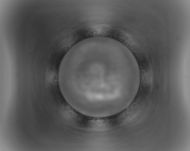 X0000111210419200907081306