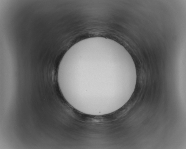 X0000111210420200907081306