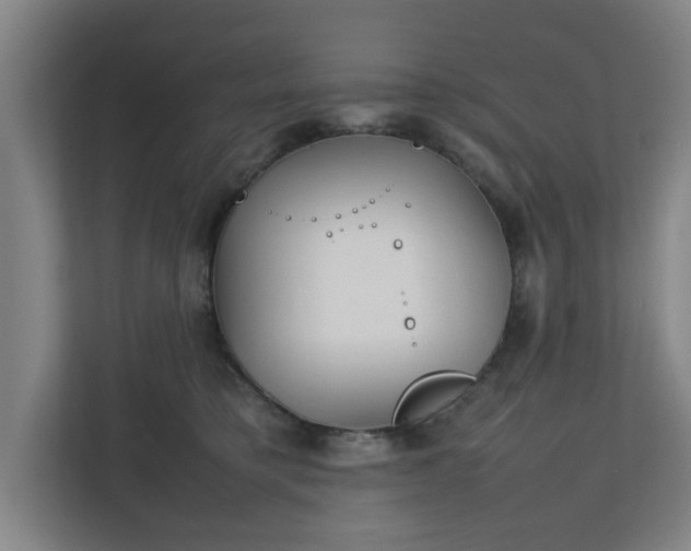 X0000111210421200907081306