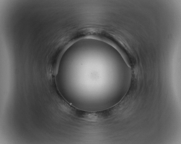 X0000111210423200907081305