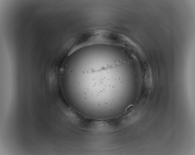 X0000111210424200907081305