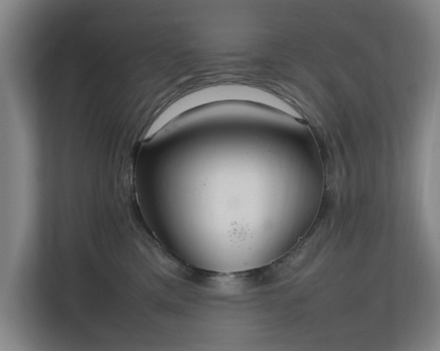 X0000111210425200907081305