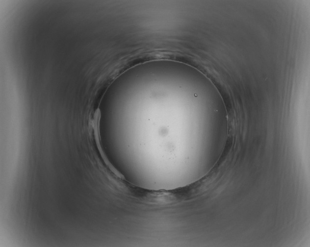 X0000111210427200907081305