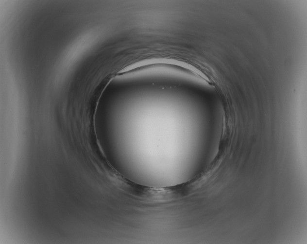 X0000111210429200907081305