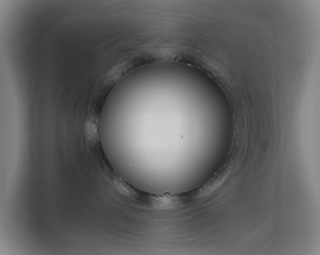 X0000111210432200907081305