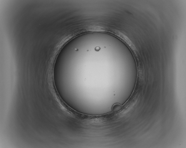 X0000111210433200907081305