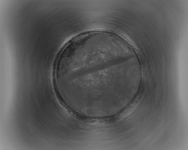 X0000111210434200907081305