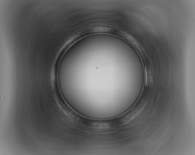 X0000111210435200907081305