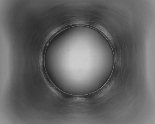 X0000111210437200907081305