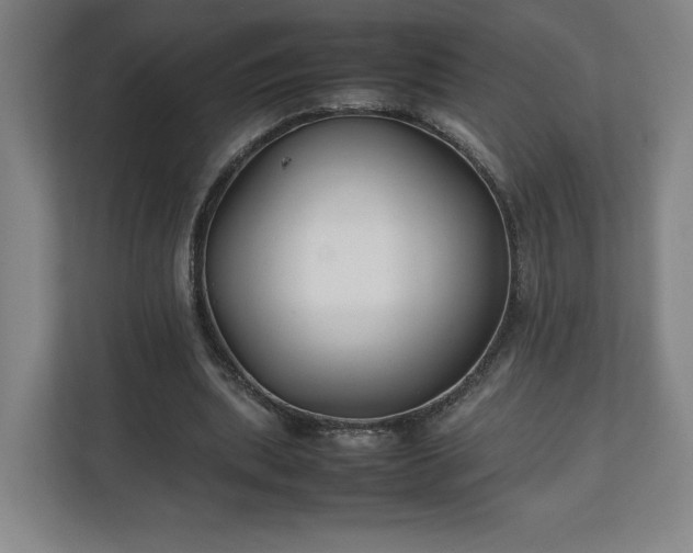 X0000111210439200907081305