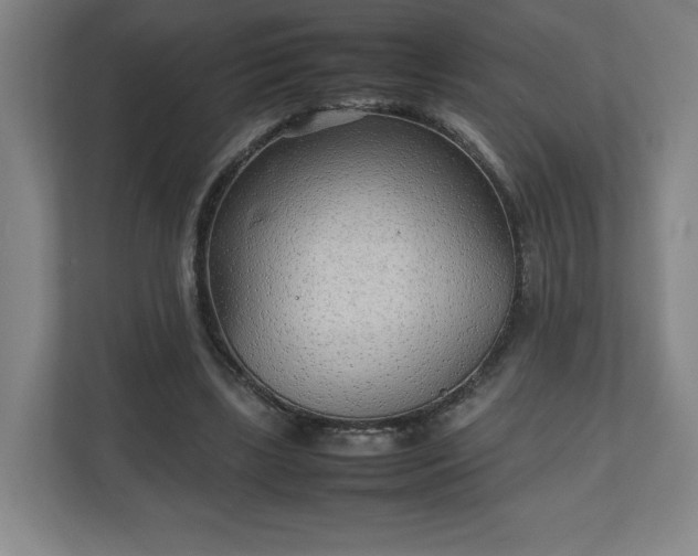 X0000111210443200907081305