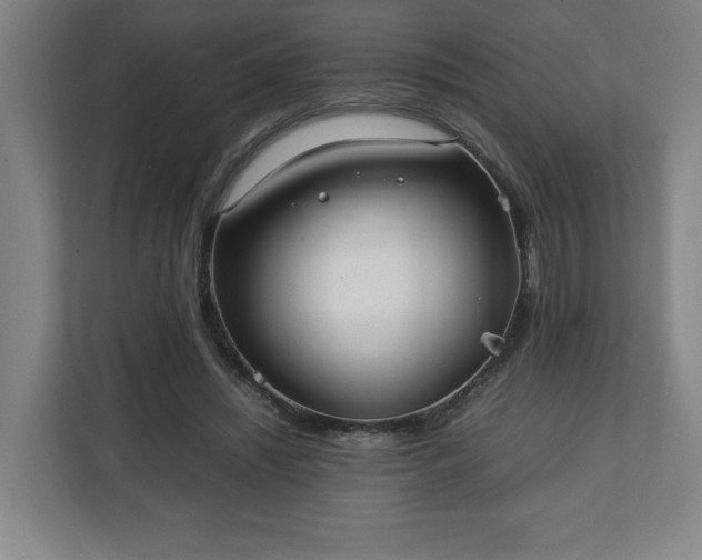 X0000111210444200907081305