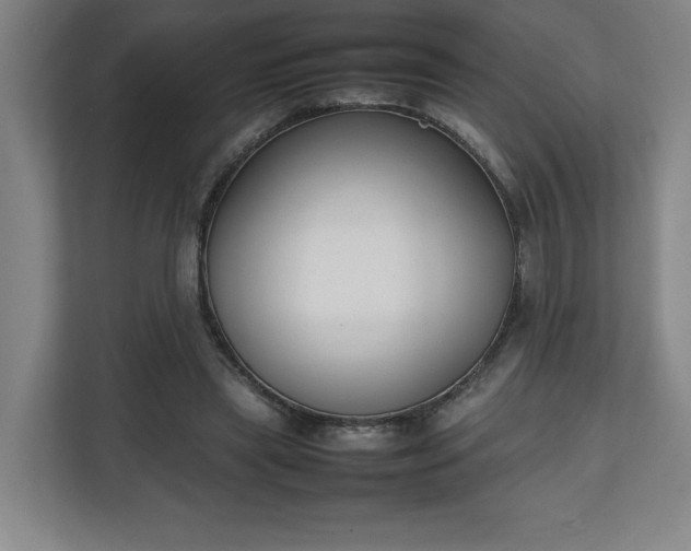 X0000111210445200907081305