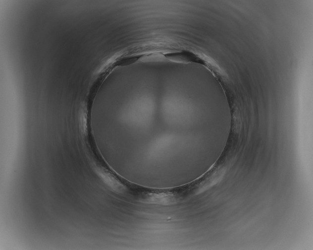 X0000111210446200907081305