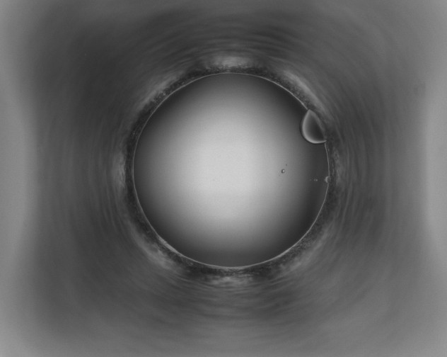 X0000111210447200907081305