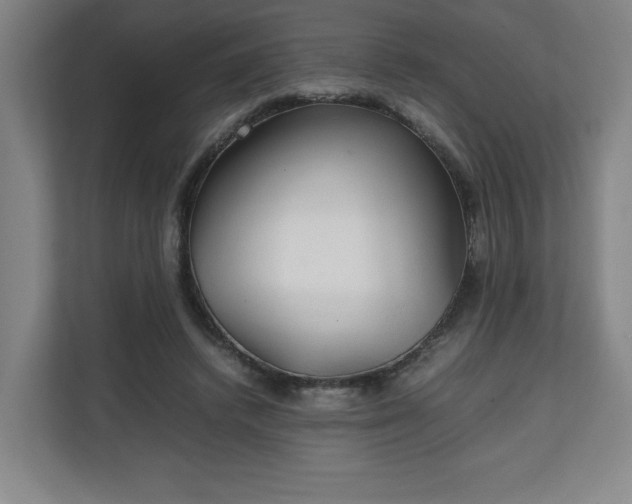 X0000111210448200907081305