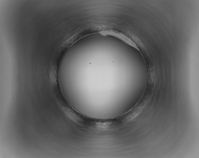 X0000111210450200907081305