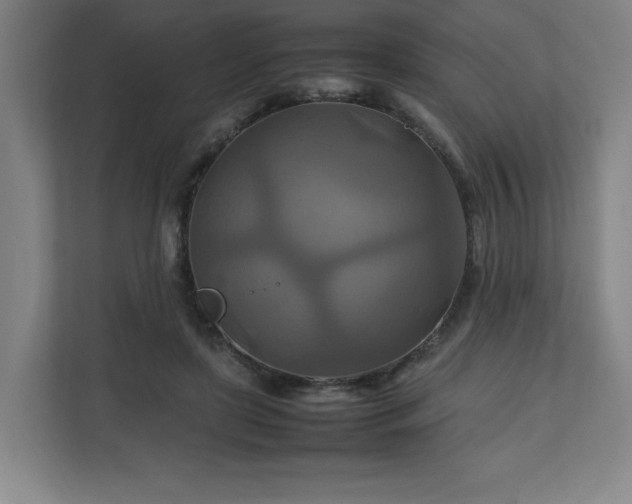 X0000111210451200907081305