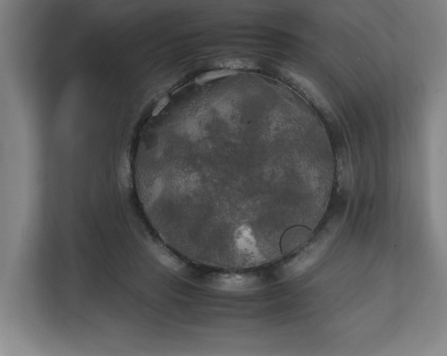 X0000111210453200907081305