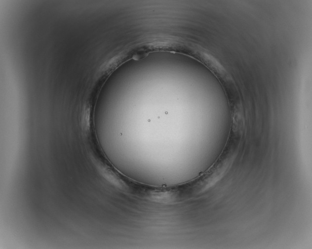 X0000111210454200907081305