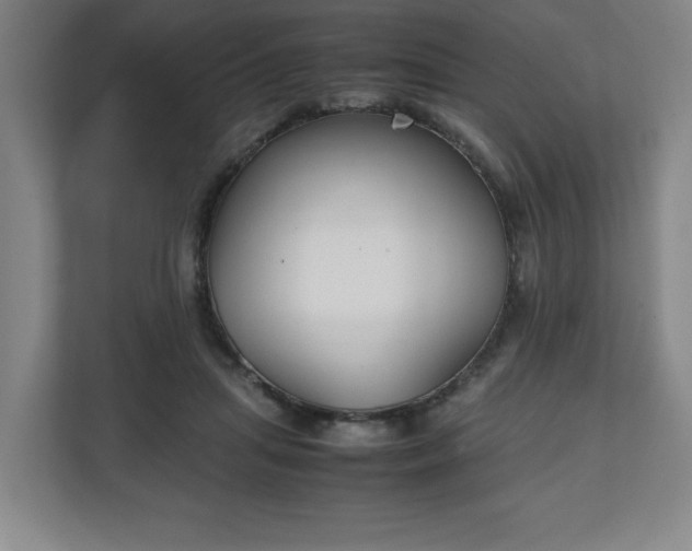 X0000111210455200907081305