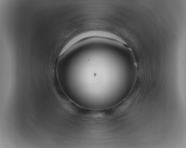 X0000111210456200907081305