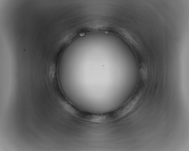 X0000111210458200907081305