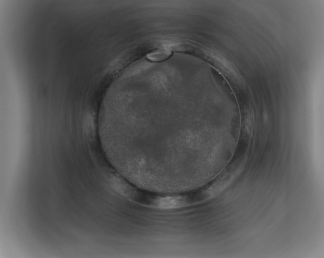 X0000111210461200907081305