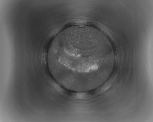 X0000111210462200907081305