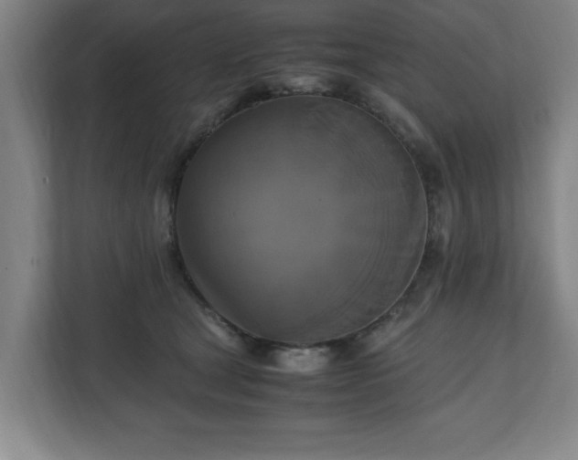 X0000111210465200907081305