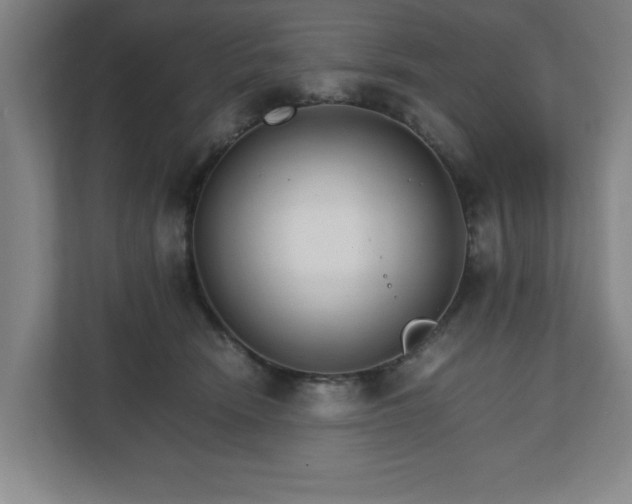 X0000111210466200907081305