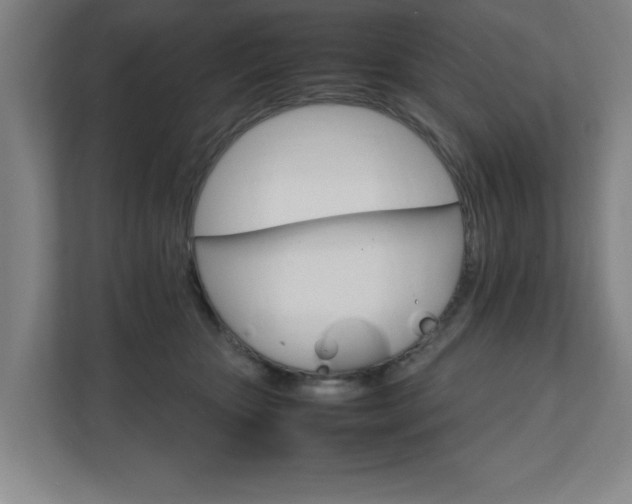 X0000111210467200907081305