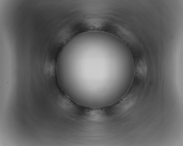 X0000111210468200907081305