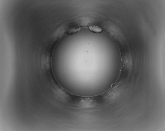 X0000111210470200907081305