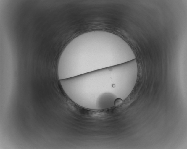 X0000111210471200907081305