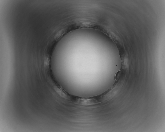 X0000111210472200907081305