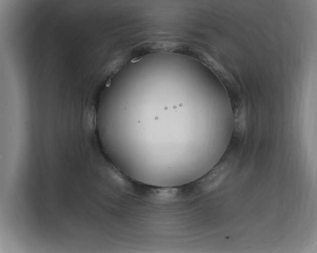 X0000111210474200907081305