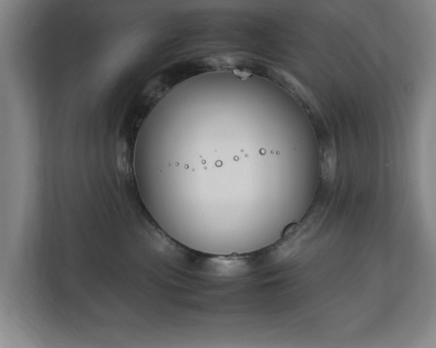 X0000111210477200907081305