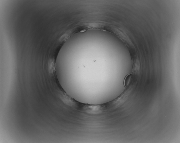 X0000111210478200907081305