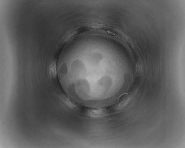 X0000111210479200907081305