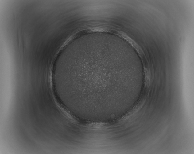 X0000111210482200907081305