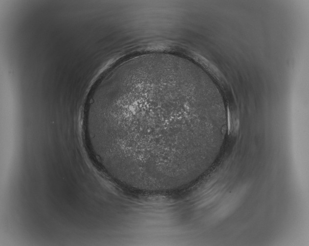 X0000111210483200907081305