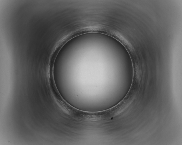 X0000111210486200907081305