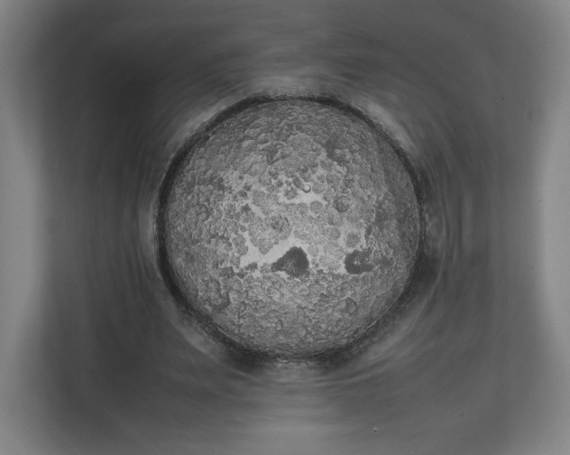 X0000111210487200907081305